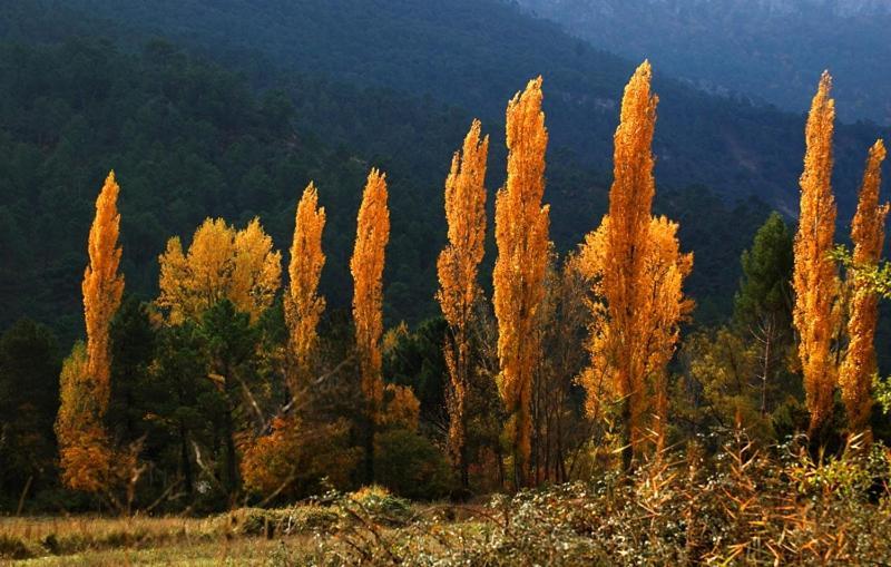 Casa Rural Nacimiento Rio Mundo Riópar Екстериор снимка